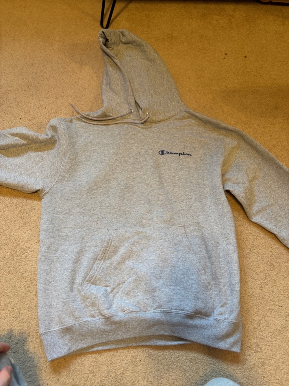 Champion Light Gray Hoodie with Script Tag